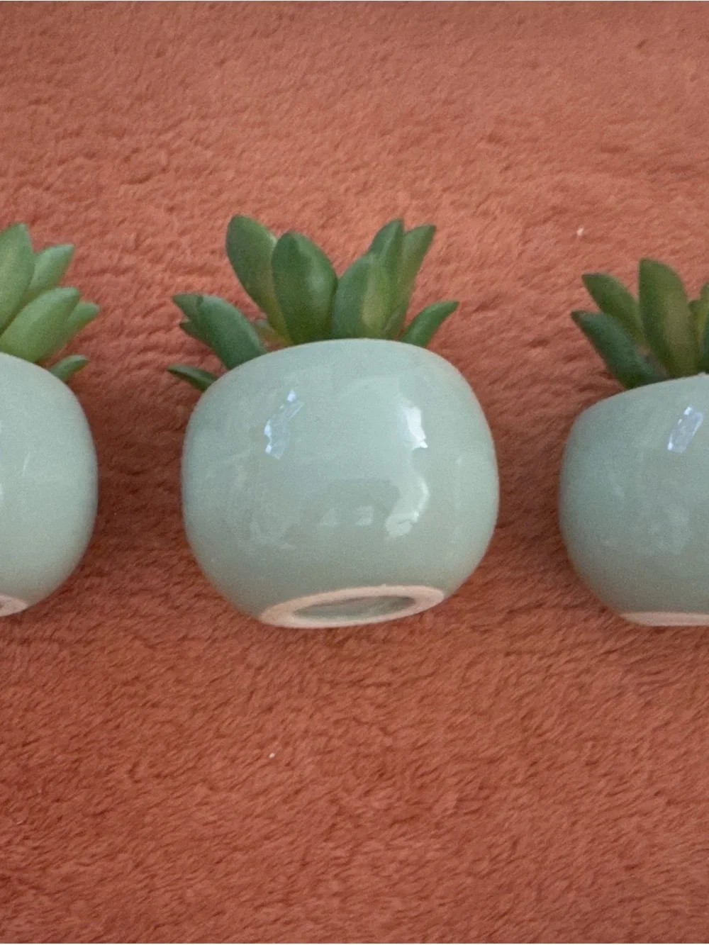 Faux Succulent in Mint Green Ceramic Planter